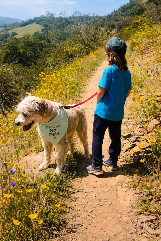 No Petting Please Bandana | Oatmeal | Slip-On Collar Bandana
