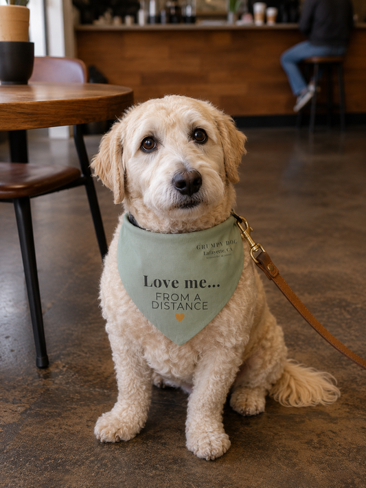 Love Me From a Distance Dog Bandana