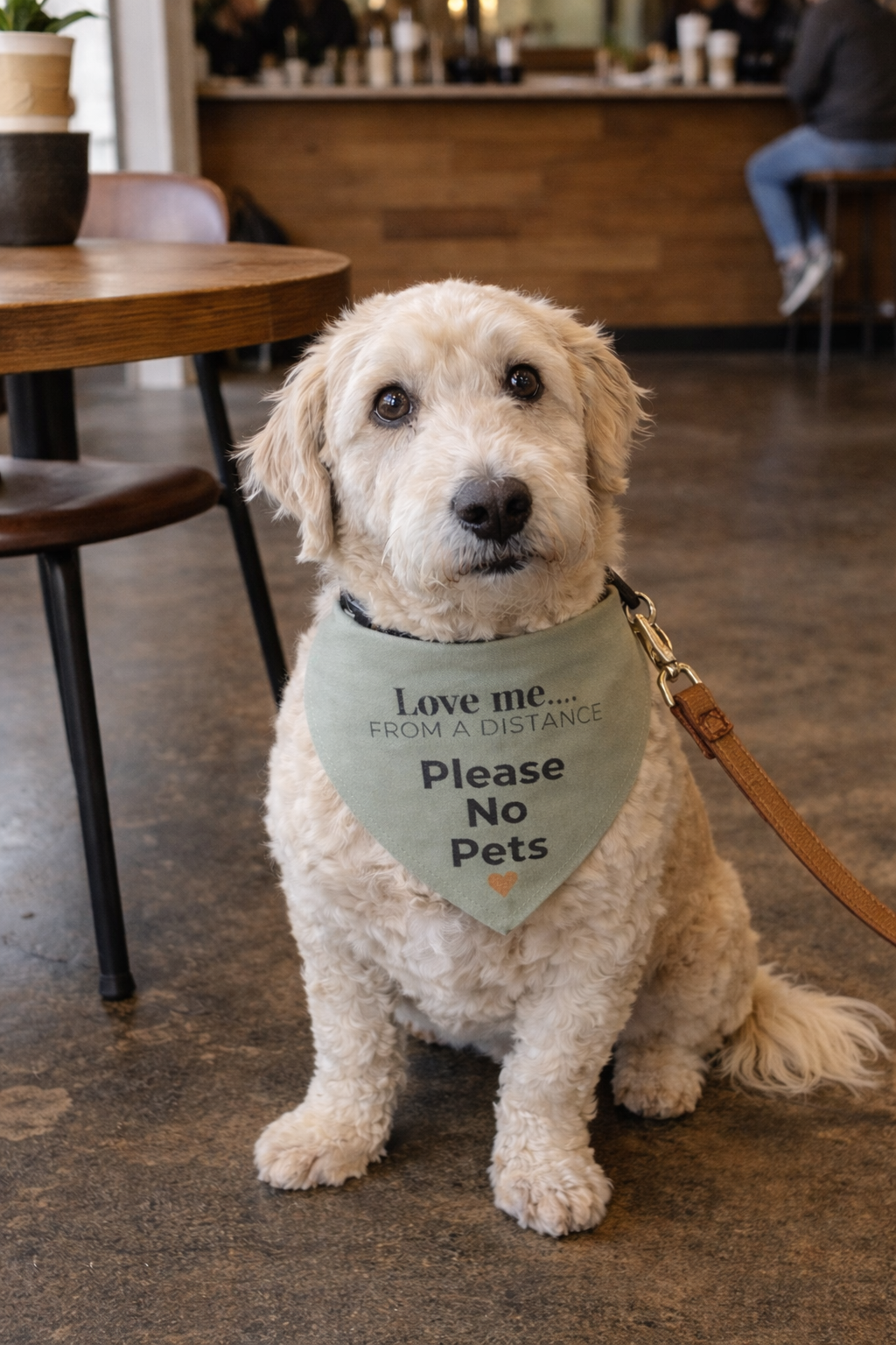 Love Me From a Distance Dog Bandana