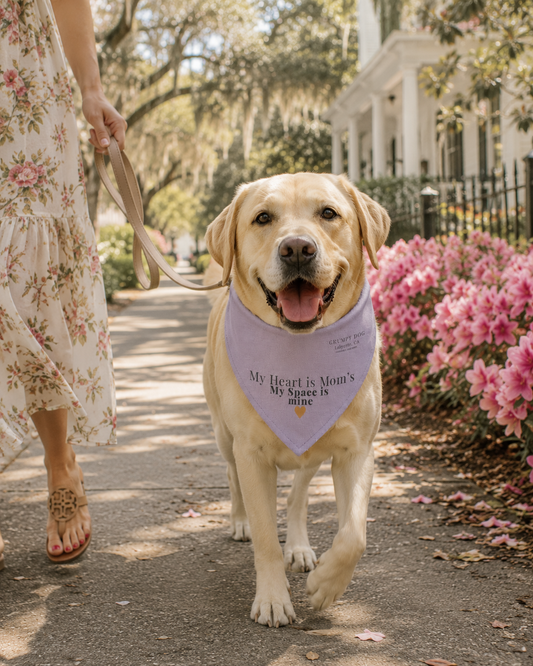 Dog wearing a bandana with text, walking on a path with flowers and a house in the background