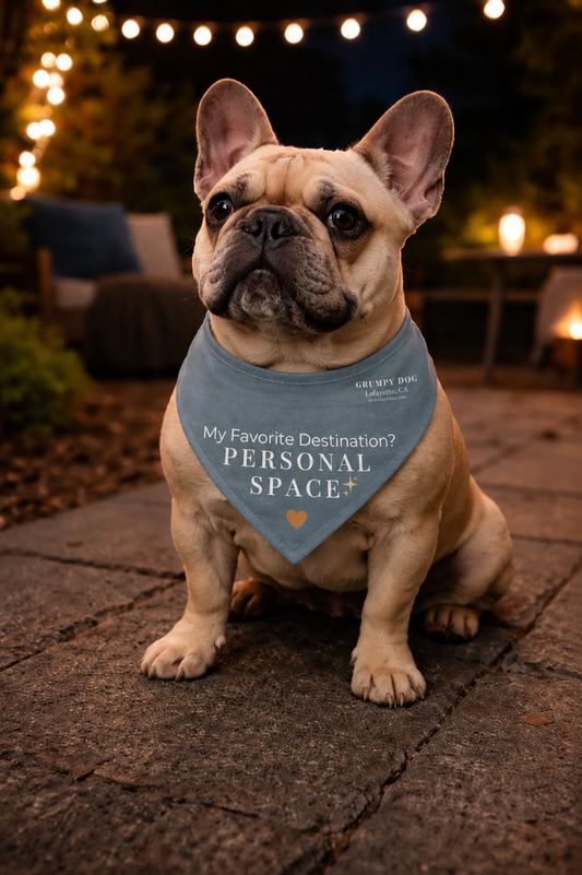 Dog wearing a bandana with text sitting on a patio